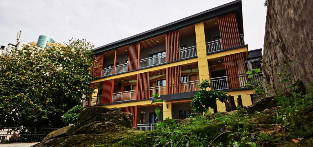 2022福州格致中学高考平均分,福州格致中学本一率