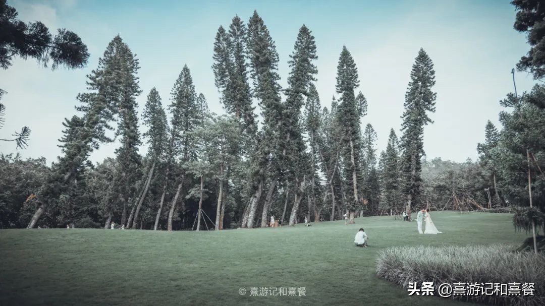 去厦门必须体验的六件事,送给第一次去厦门的五点建议