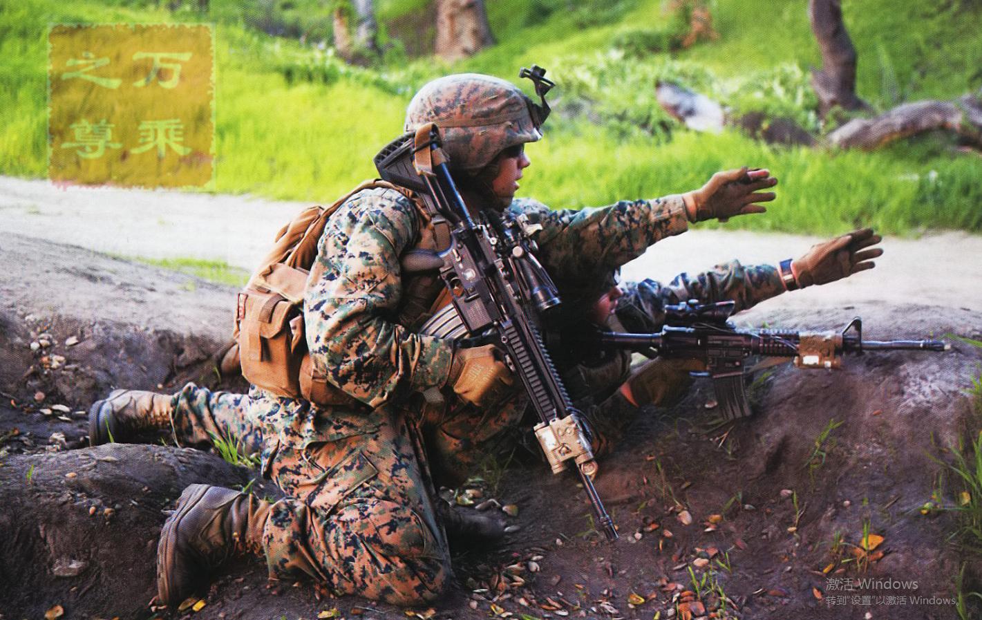 美国各种m16突击步枪,m16步枪基本型