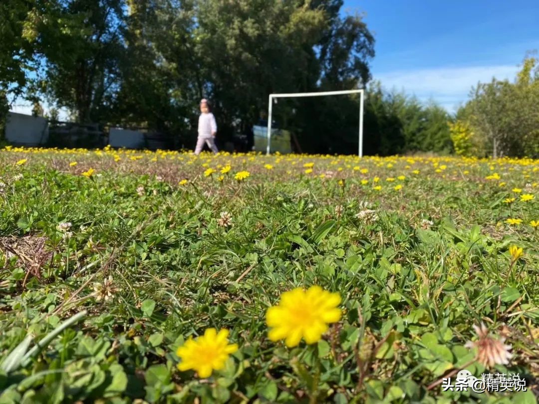 南美实录：智利小镇惊现中国人滚出传单，当地华人心态崩溃