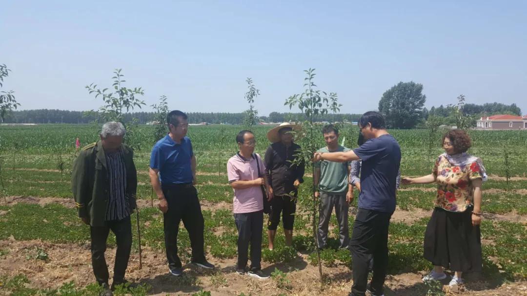 辽宁阜新退役士兵安置岗位,辽宁阜新退役士兵安置岗位有哪些