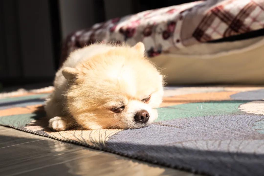 更年期为什么是疾病高发期,世界更年期关怀日