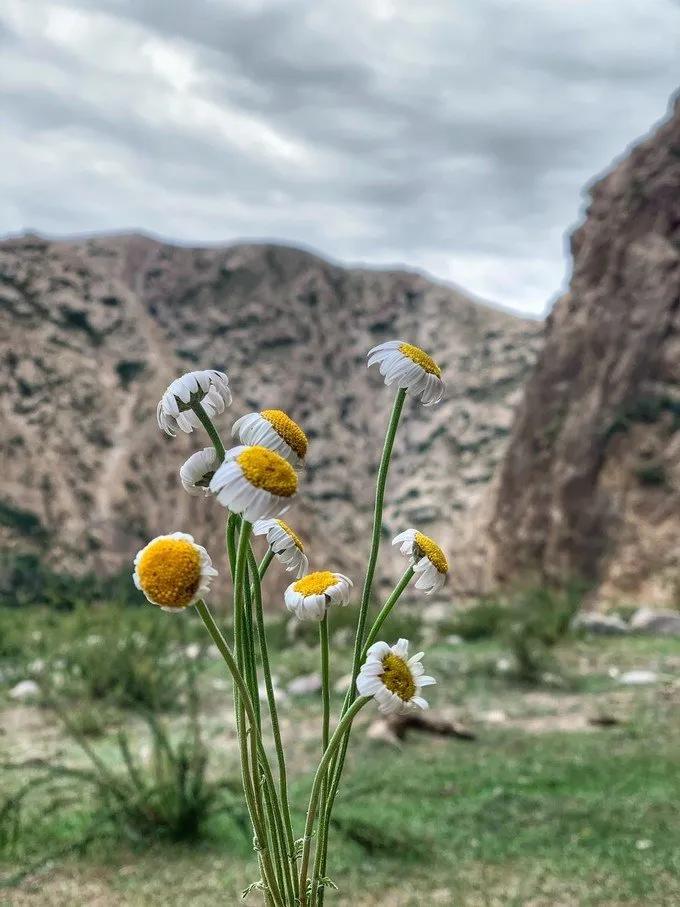 6月徒步乌孙古道骑马穿越,几月去乌孙古道徒步合适