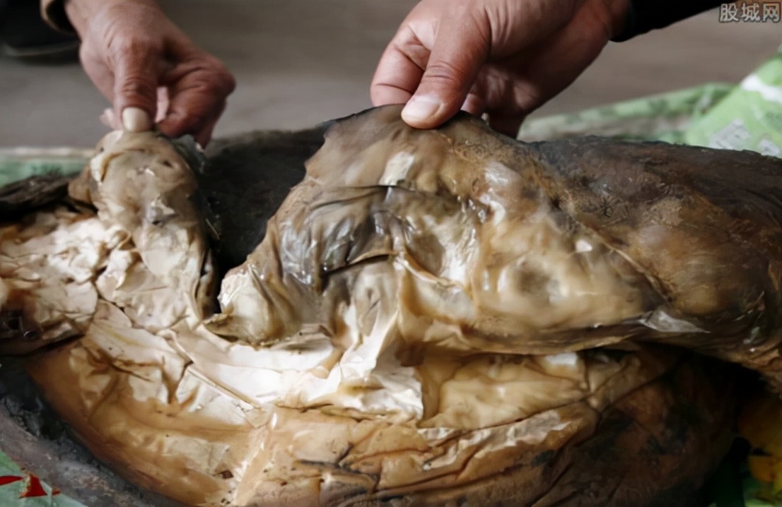 捡到太岁的真面目,捡到太岁的真实事件