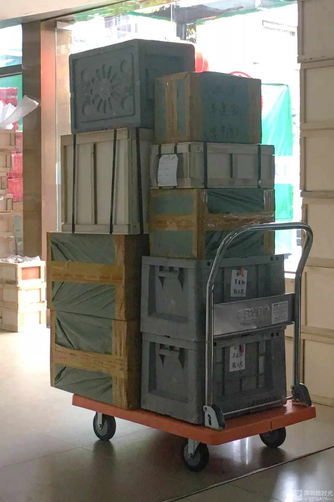 水贝十年,水贝10年