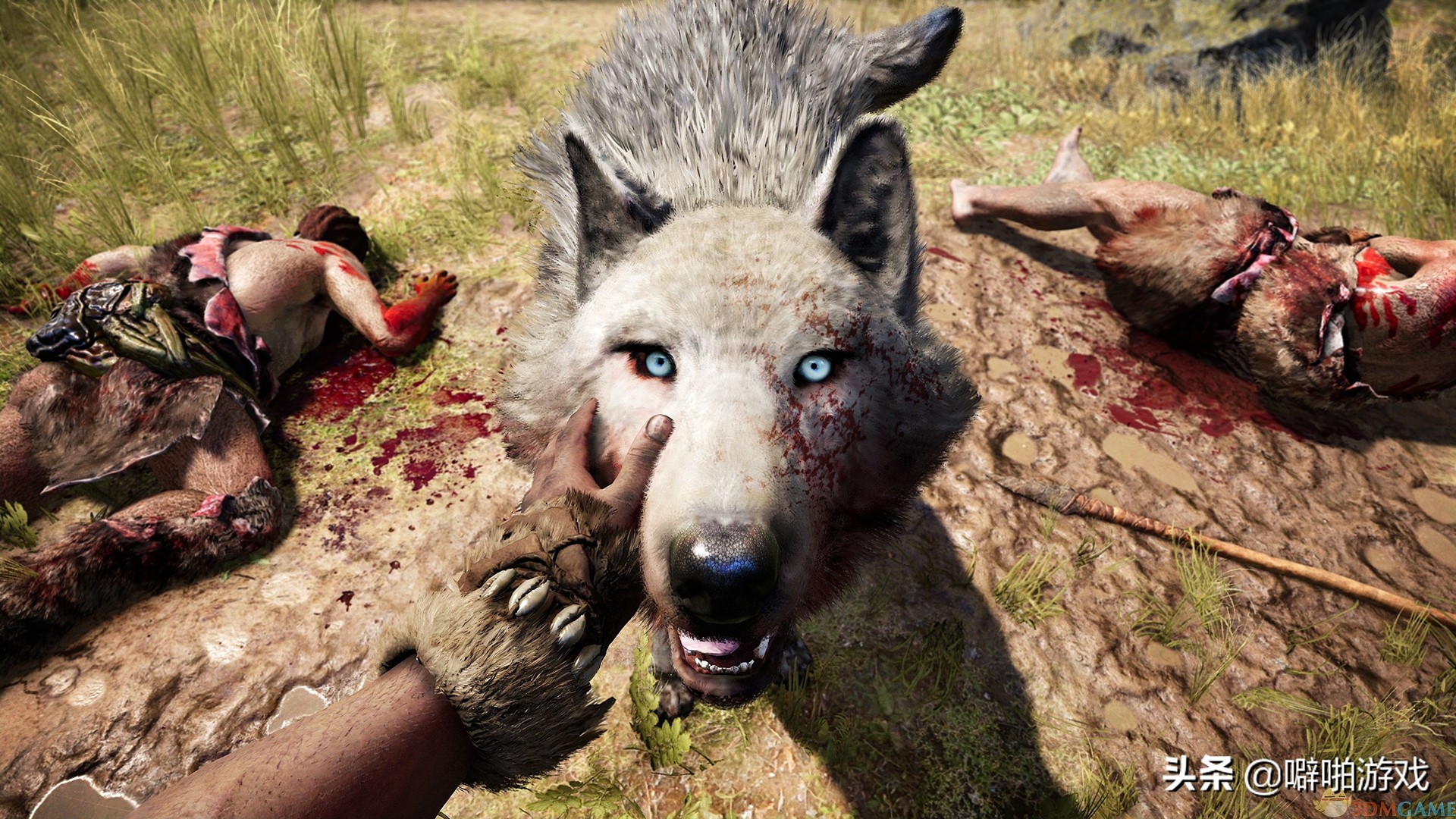 五款低配电脑就能畅玩的游戏推荐,官方优化游戏推荐