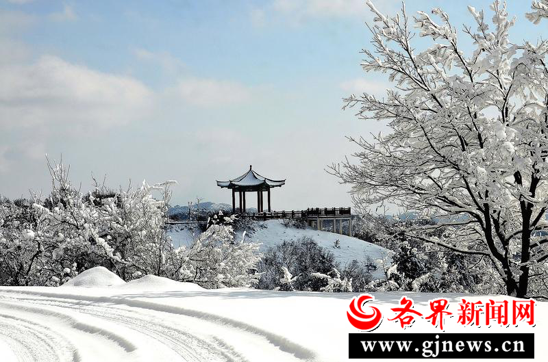 黄龙绿洲,黄龙黄河