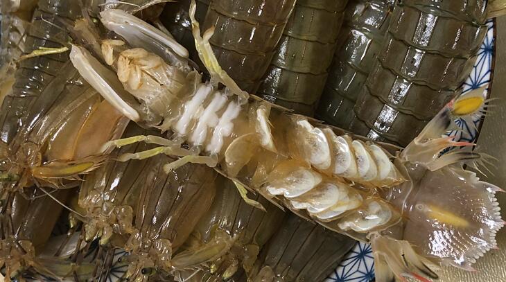 煮皮皮虾开水下锅还是冷水下锅,清煮皮皮虾冷水下锅还是热水下锅