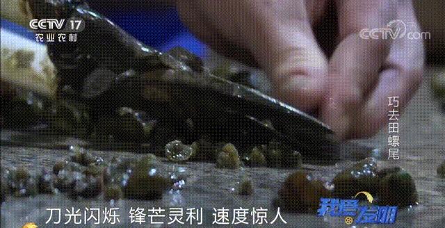 没有什么是一顿田螺解决不了的,没有什么美食可以难倒吃货