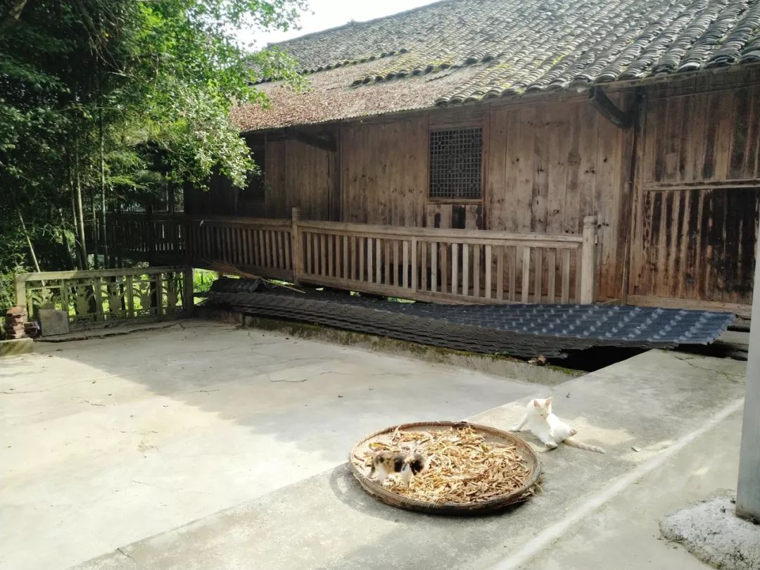 恩施鹤峰旅游攻略一天,恩施鹤峰旅游攻略