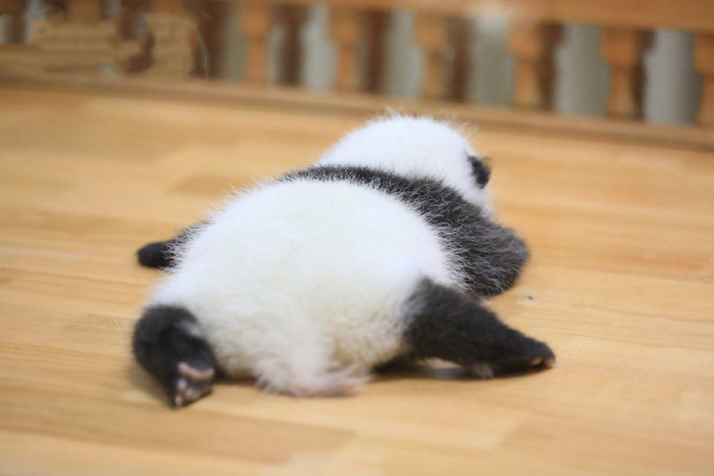 小米有品又出一爆款,小米8h沙发