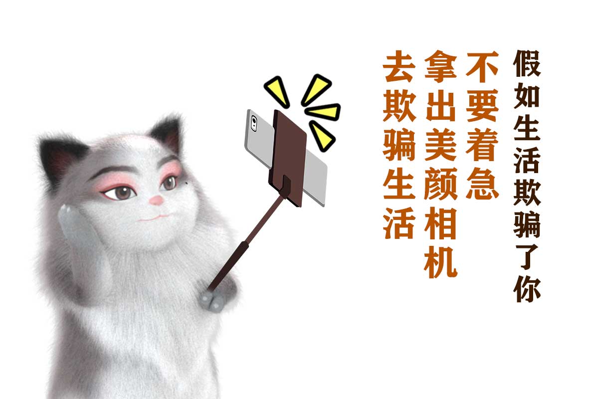 正确的抱猫咪的姿势,如何正确的抱猫咪