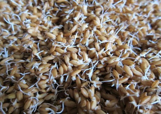 聚天门冬氨基酸有机水溶肥,聚天门冬氨酸在肥料中的添加数量