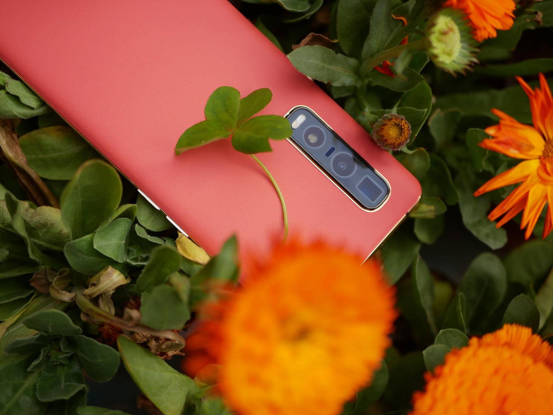 消费者视角评测,findx2pro发布多少钱