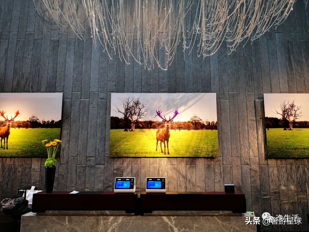 神の战|丽思、柏悦、MO、四季,陆家嘴7大奢华酒店谁是你的最爱?