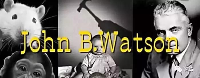 致人类：快停手吧！那些以科学为名的疯狂实验！