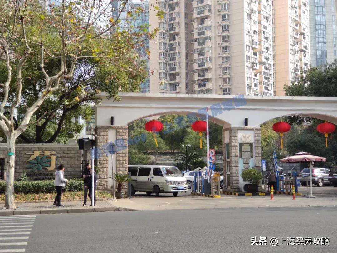 上海洋泾菊园实验学校录取率,洋泾菊园实验学校最新评价