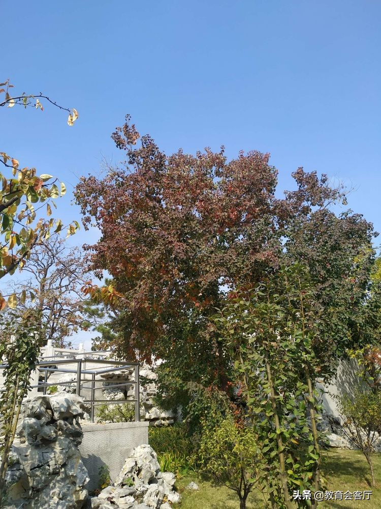 金秋旅游视频模板,国庆郯国古城游玩攻略