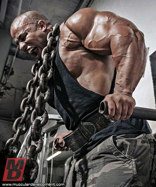 椹竵鍐呭吂鍋ョ編濂ヨ禌灞曠ず,鍋ョ編椹竵鍐呰尐