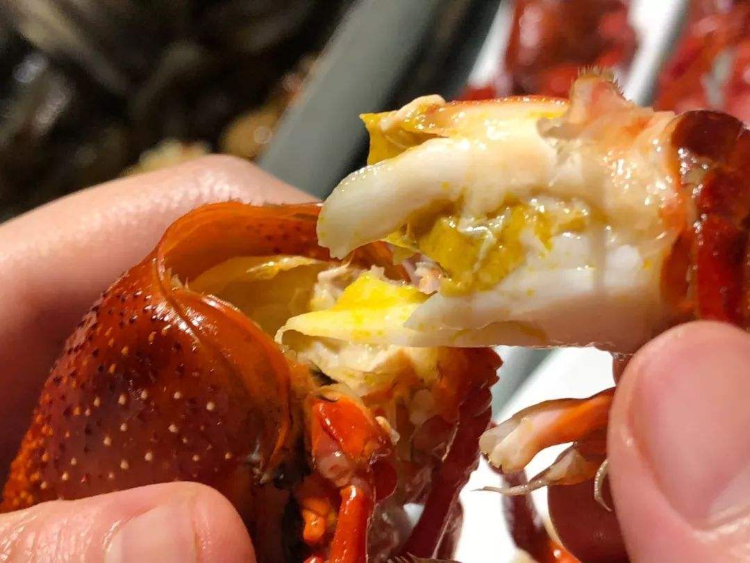 小虾头到底能不能吃权威解释,虾头到底能吃不