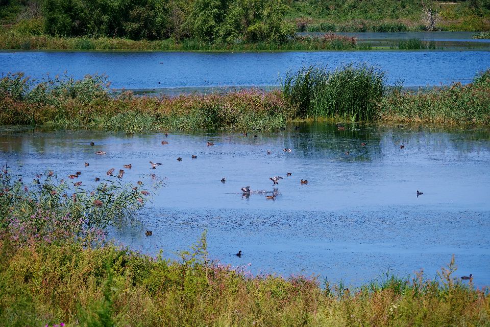 榻愰綈鍝堝皵瀚╂睙涓滄按鐝嶇鍏洯,榻愰綈鍝堝皵瀚╂睙涓滄按鐝嶇婀垮湴鍏洯