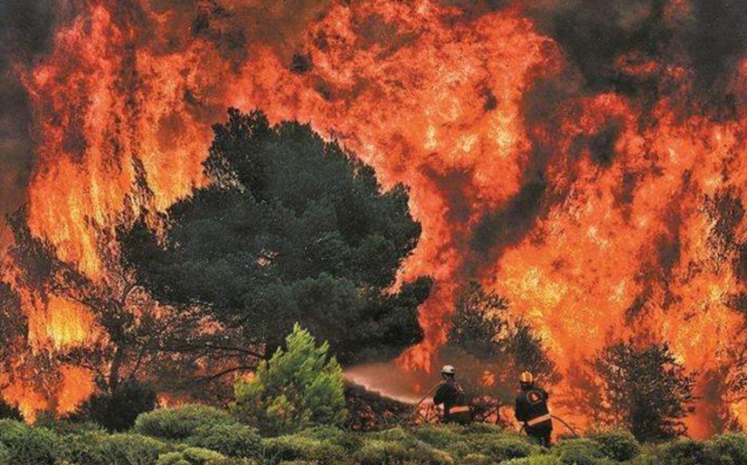 是你们说的全程高潮，但结局我想骂街