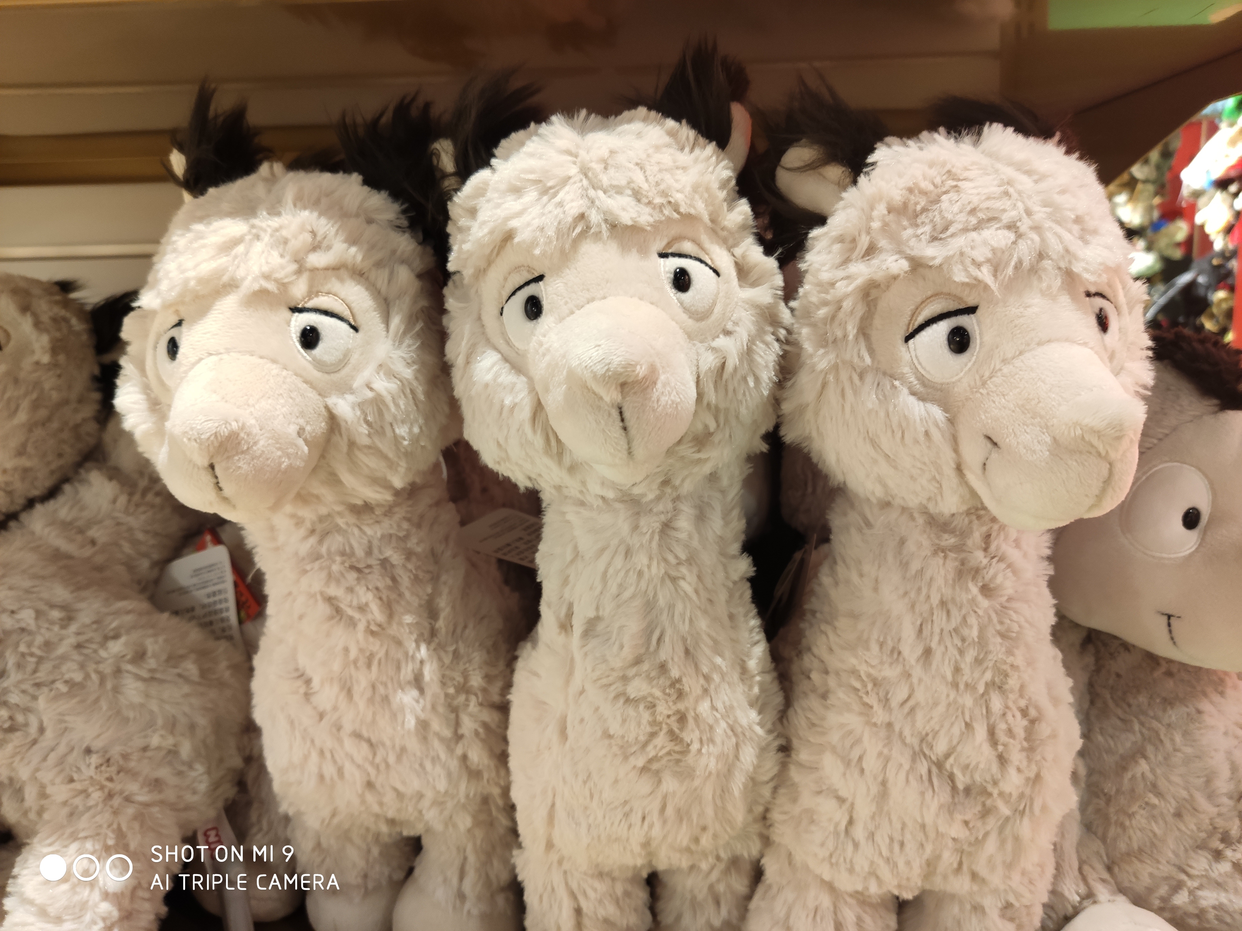 有哪些比较出名的玩具店,特别吸引小朋友的玩具