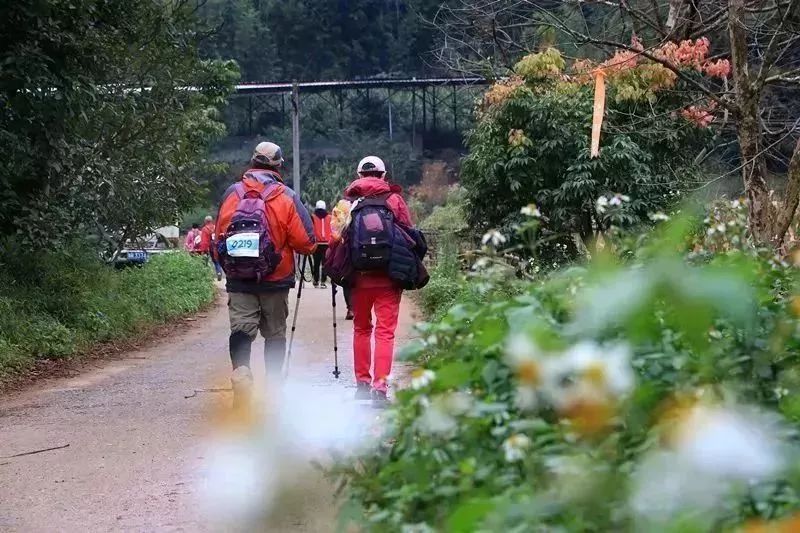 广东省徒步的好地方,广东哪里地方适合周末自驾游