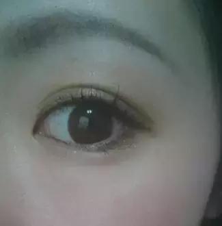 kate全线测评,kate新旧版本测评