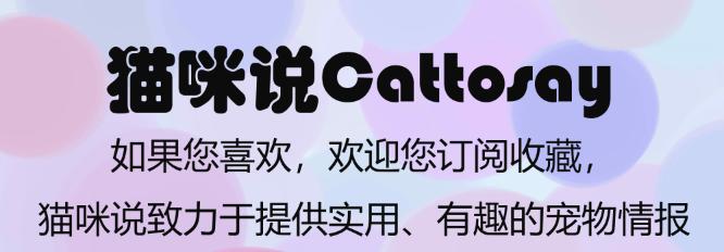 猫咪老是挠主人脚如何避免,猫无聊时的7种表现