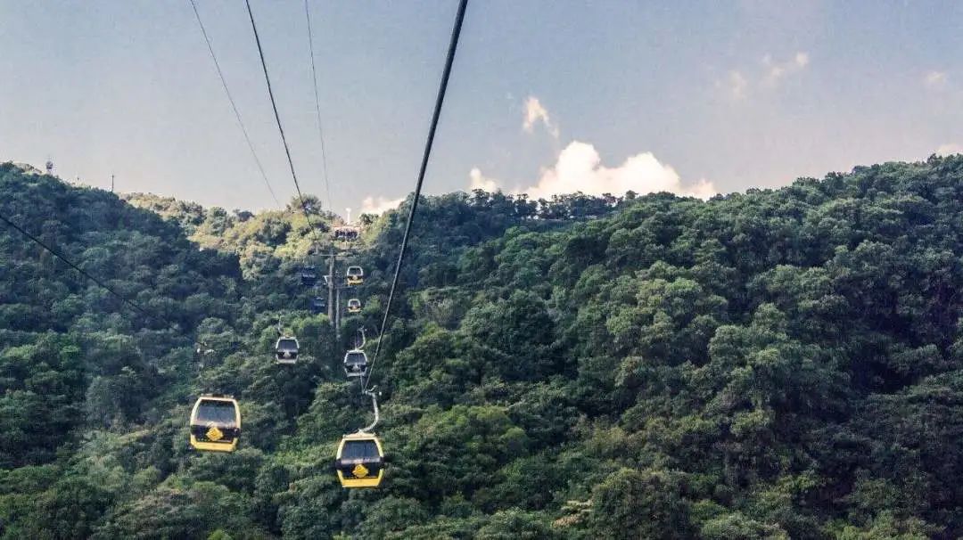 周末广州市内哪个公园最值得去,广州十大避暑旅游景点