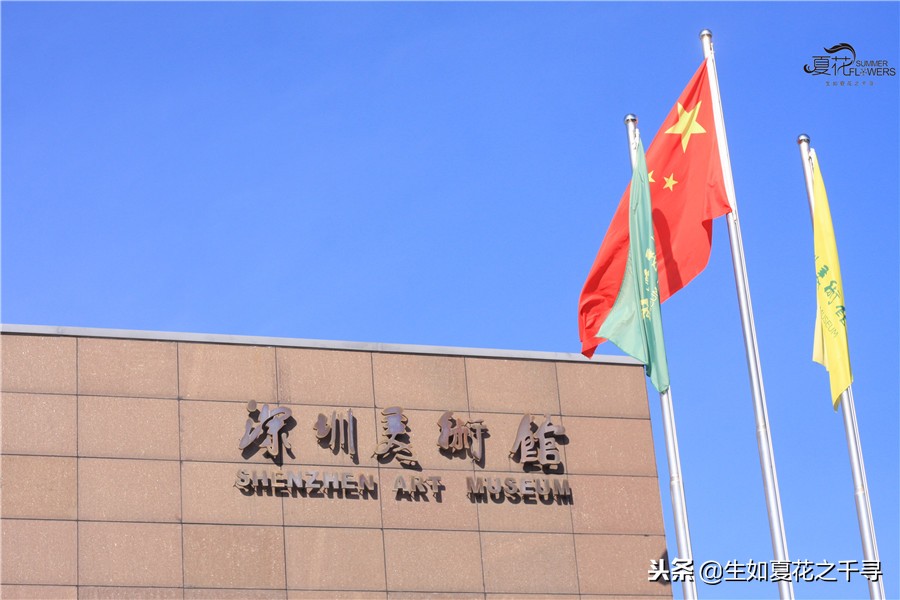 东湖公园菊花展今天还有开放吗,深圳东湖公园菊花展图片