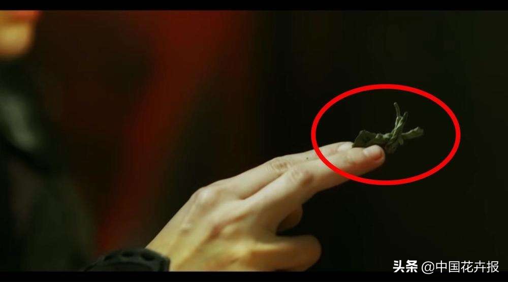 长安十二时辰口嚼薄荷叶,长安十二时辰中为什么总用薄荷叶