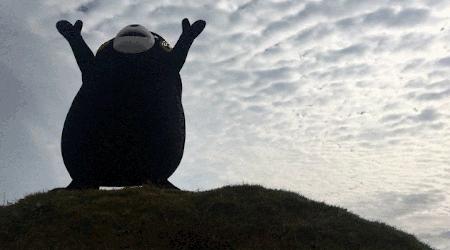 180年前的美洲野牛,美洲野牛和印第安人共同的命运