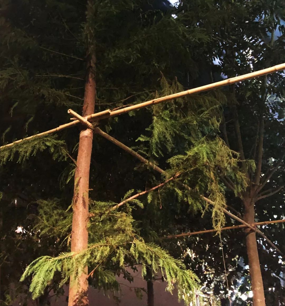 最值得买的dior,dior值得买的马鞍包是哪款