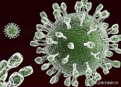 宝宝得了轮状病毒感染怎么办,宝宝感染轮状病毒吐得厉害