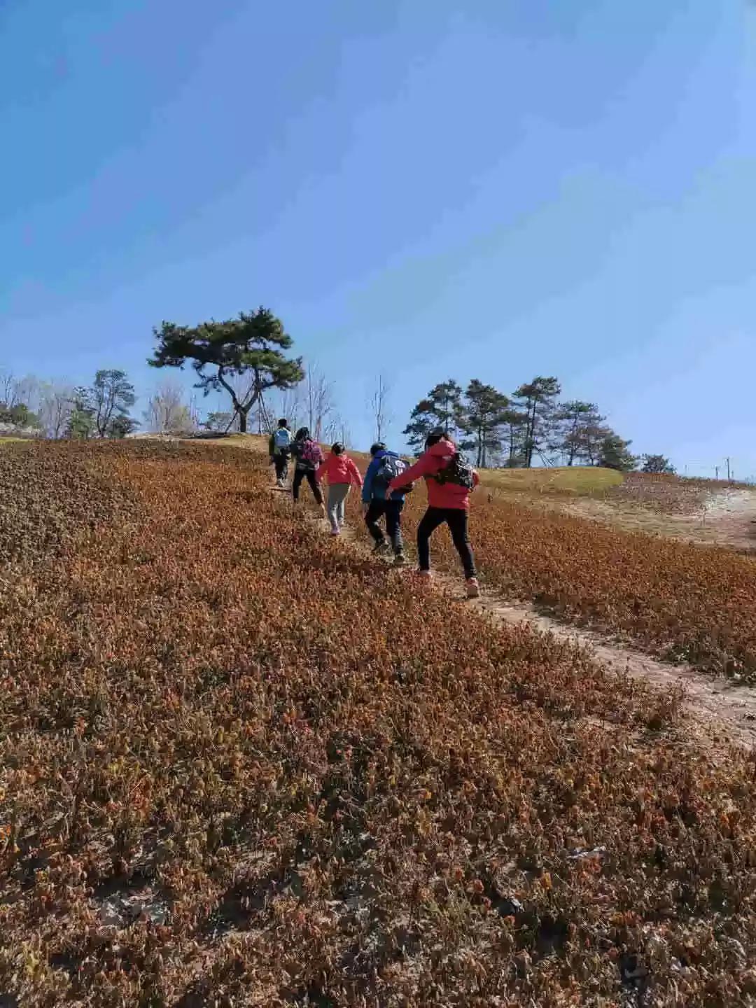 首都师范大学附属云岗小学:追溯北京古风韵遍寻春日俏风光