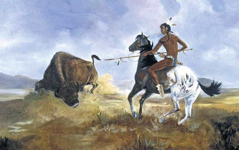 毛皮贸易与北美早期历史发展,毛皮贸易与北美殖民地的发展