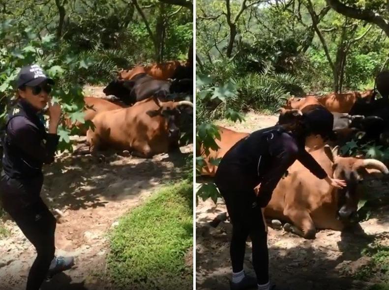 刘嘉玲街头被偶遇,刘嘉玲去动物园看熊猫