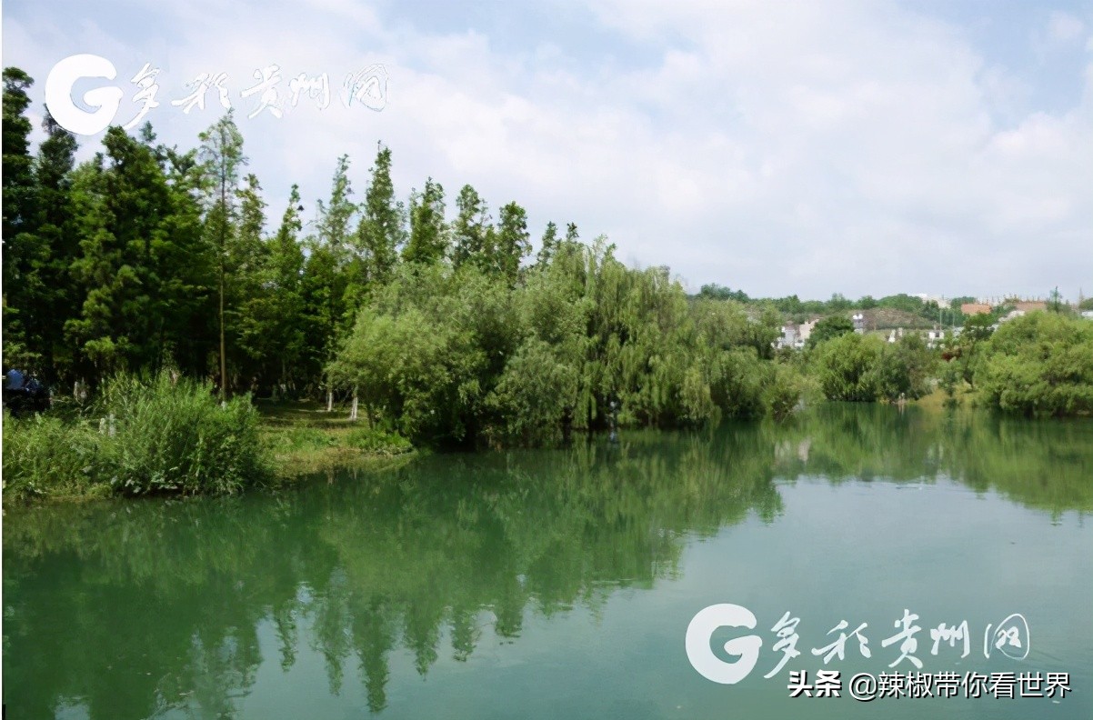 从西到东:贵州——沿河流“黔”行在这里一万种辣椒吃法向你奔来