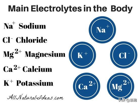 夏天跑步出汗太多怎么补水,夏季跑步补水的正确方法