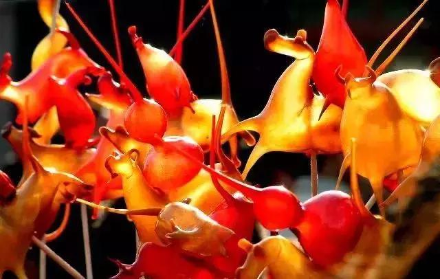 年味不够？“大片”来凑！看这群浙师人怎么帮你找回记忆中的春节