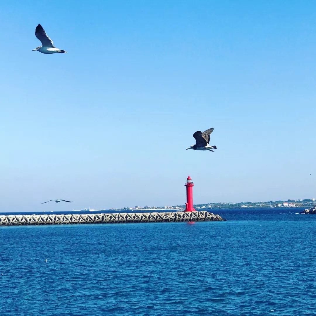 买张五百块机票就可以逃离没有冬天的广东