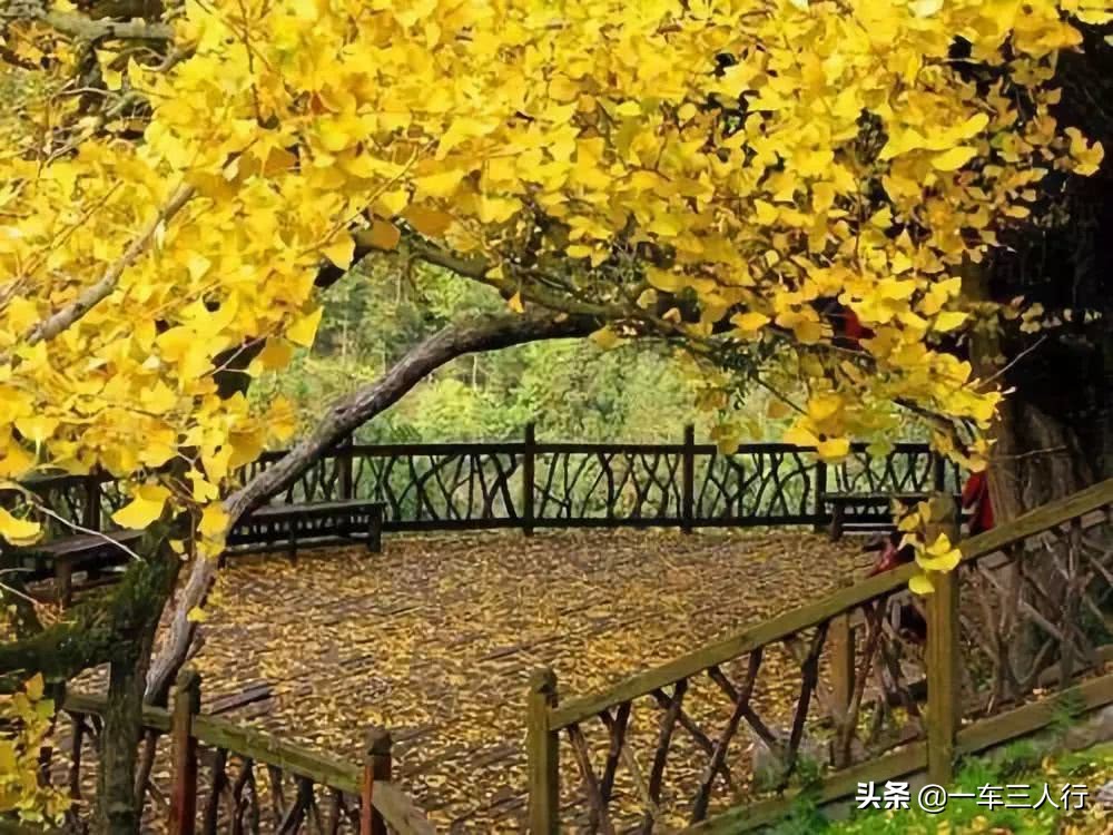 乌当的秋,风情却不张扬