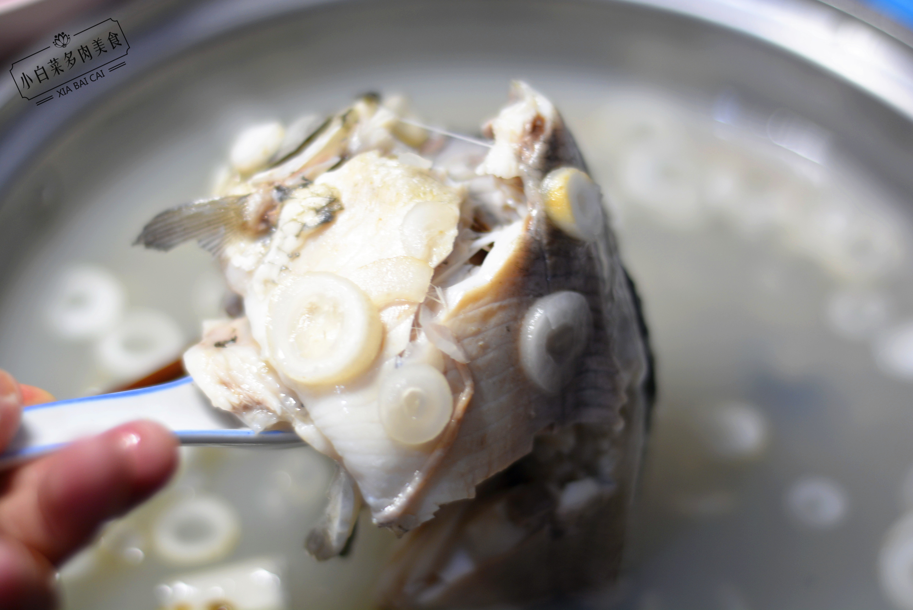 婆婆花5元钱给我买早餐,婆婆花了20块钱煮的水煮鱼