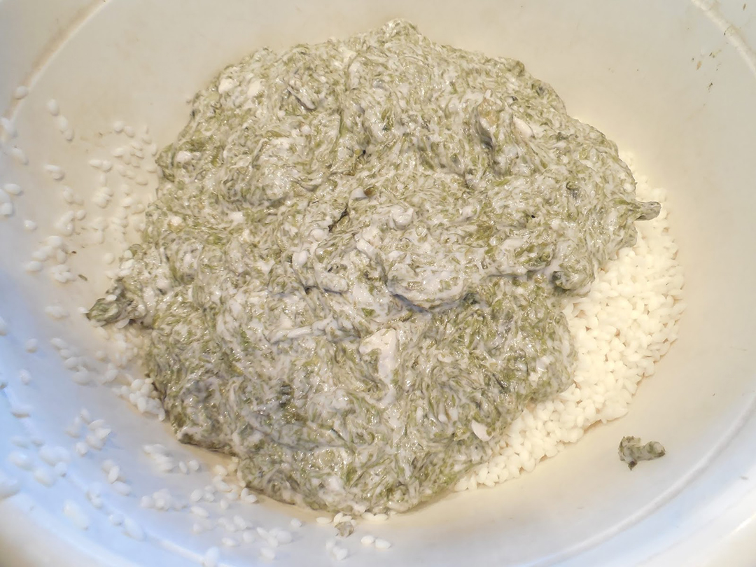 这才是糯米最好吃的做法外酥里糯,糯米最简单最好吃的做法