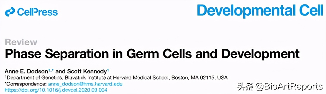 双十一特别献礼：五篇论文齐发！相分离研究再上高楼