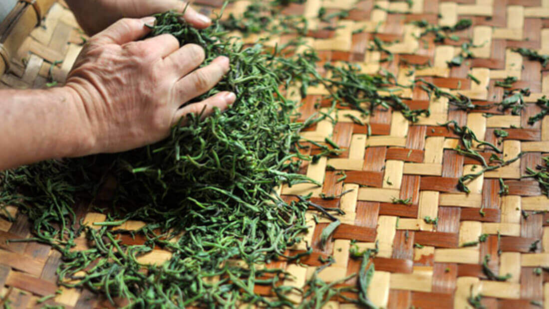 茶叶制茶的正确方法,不同茶叶制茶的过程