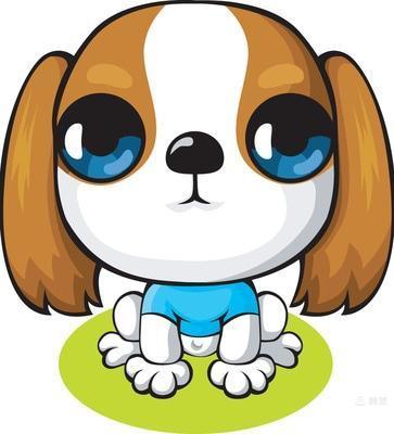 一只叫毛毛的金毛狗,小狗毛毛的视频