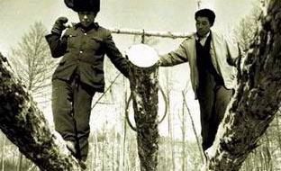 徐建成散文随笔选,徐建成的散文随笔